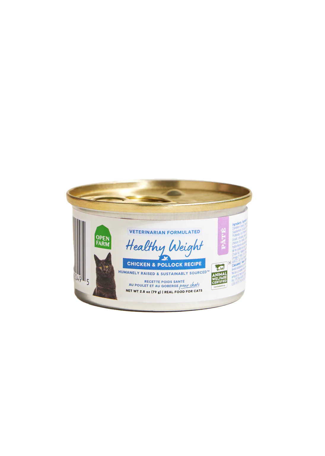 New Arrivals for Cats